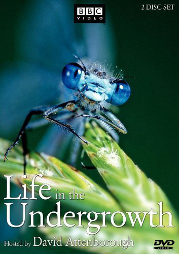 Thế Giới Côn Trùng - Life In The Undergrowth (2005)