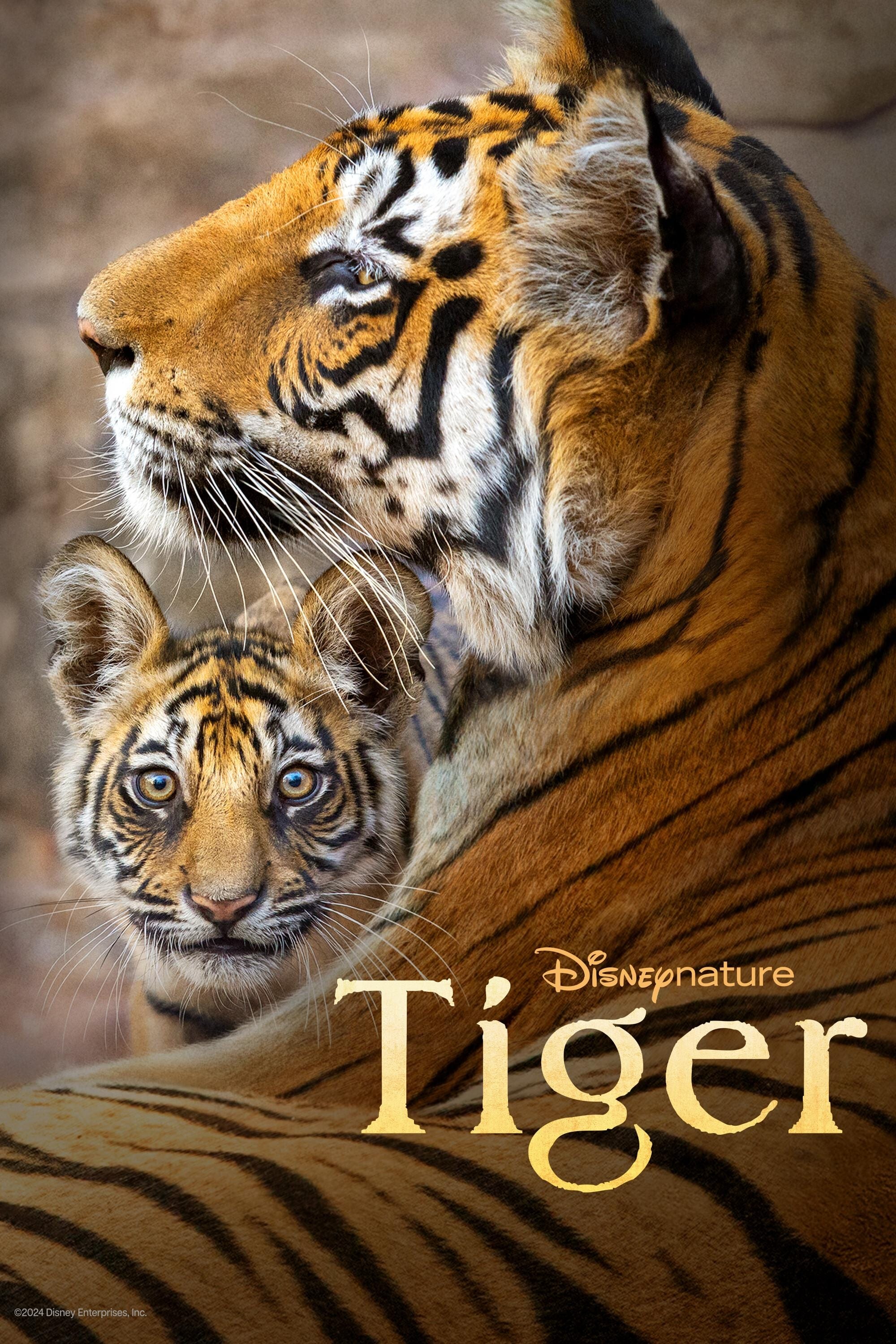 Tiger - Tiger (2024)