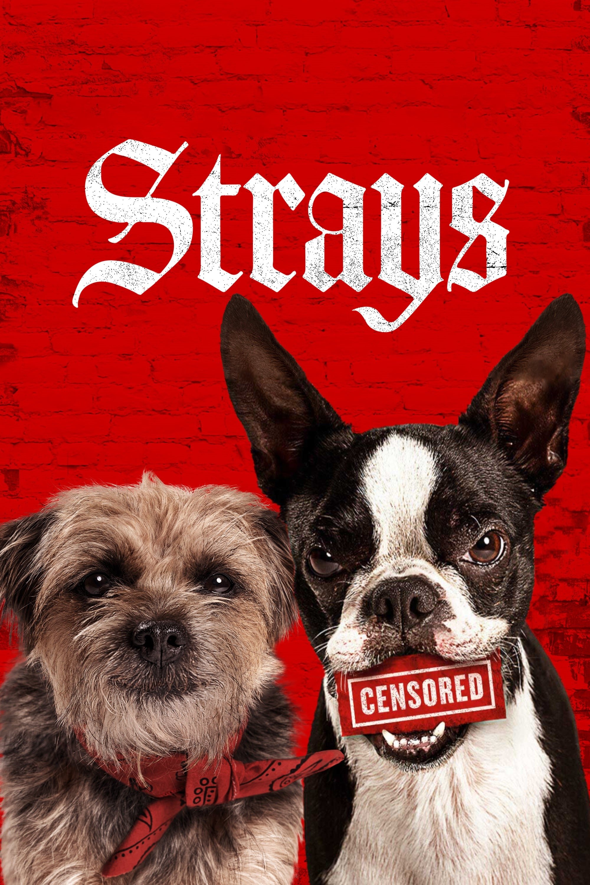 Đời Quá Chó (Những Chú Chó Bụi Đời) - Strays (2023)
