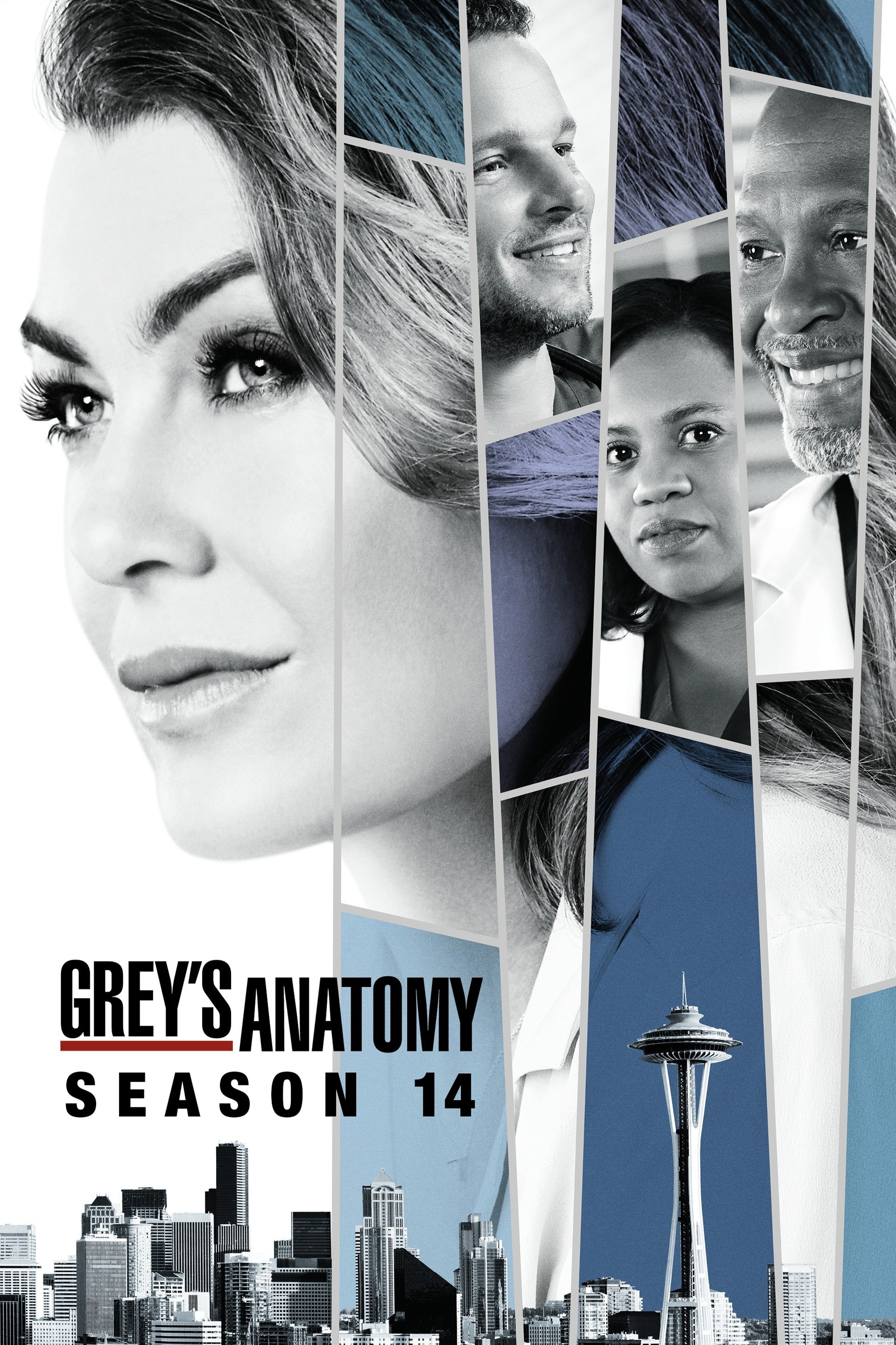 Ca Phẫu Thuật Của Grey (Phần 14) - Grey's Anatomy (Season 14) (2017)