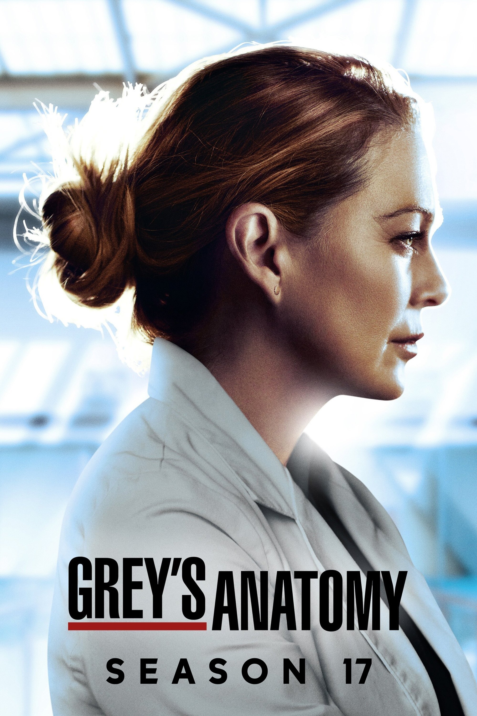 Ca Phẫu Thuật Của Grey (Phần 17) - Grey's Anatomy (Season 17) (2020)