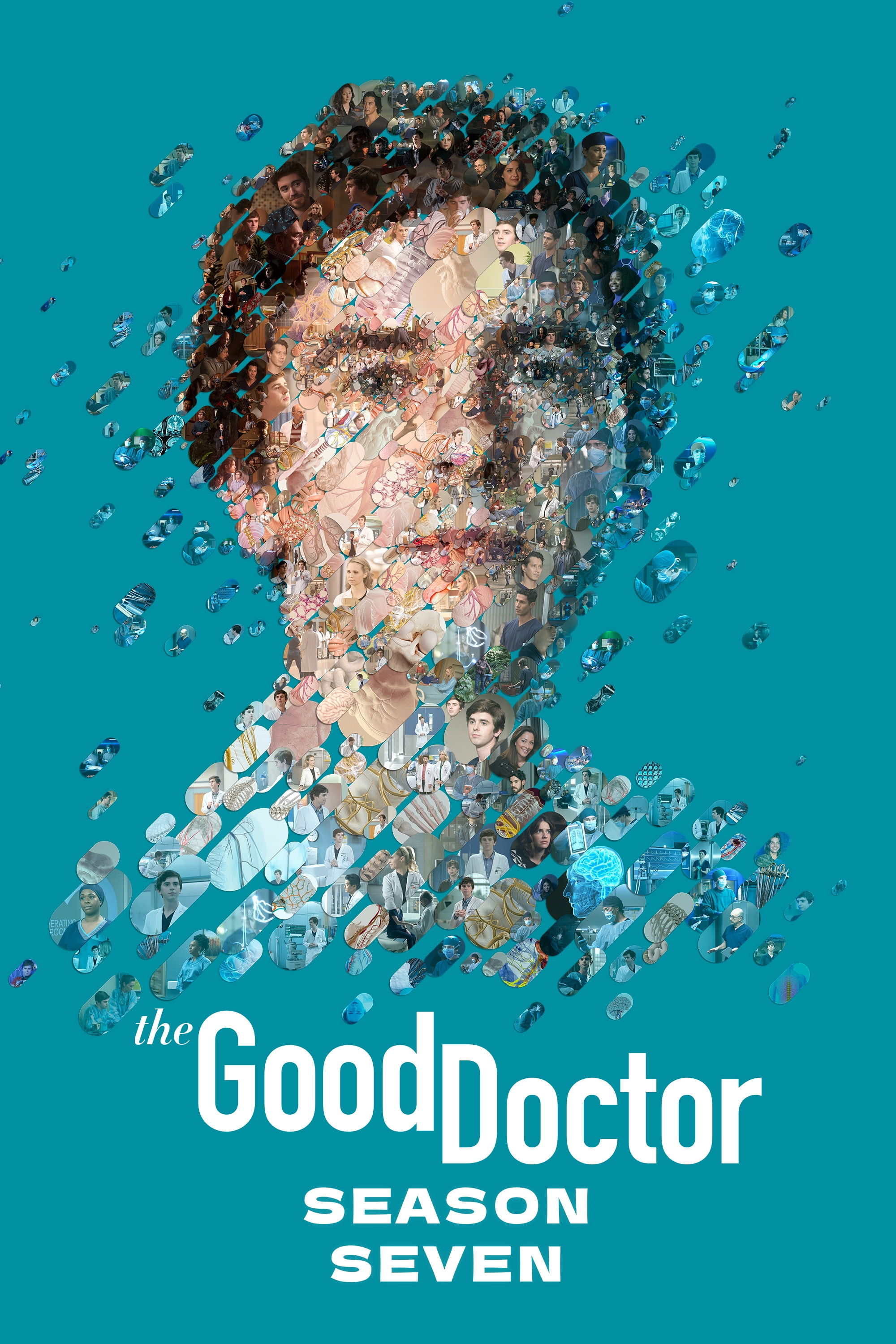 Bác Sĩ Thiên Tài (Phần 7) - The Good Doctor (Season 7) (2024)