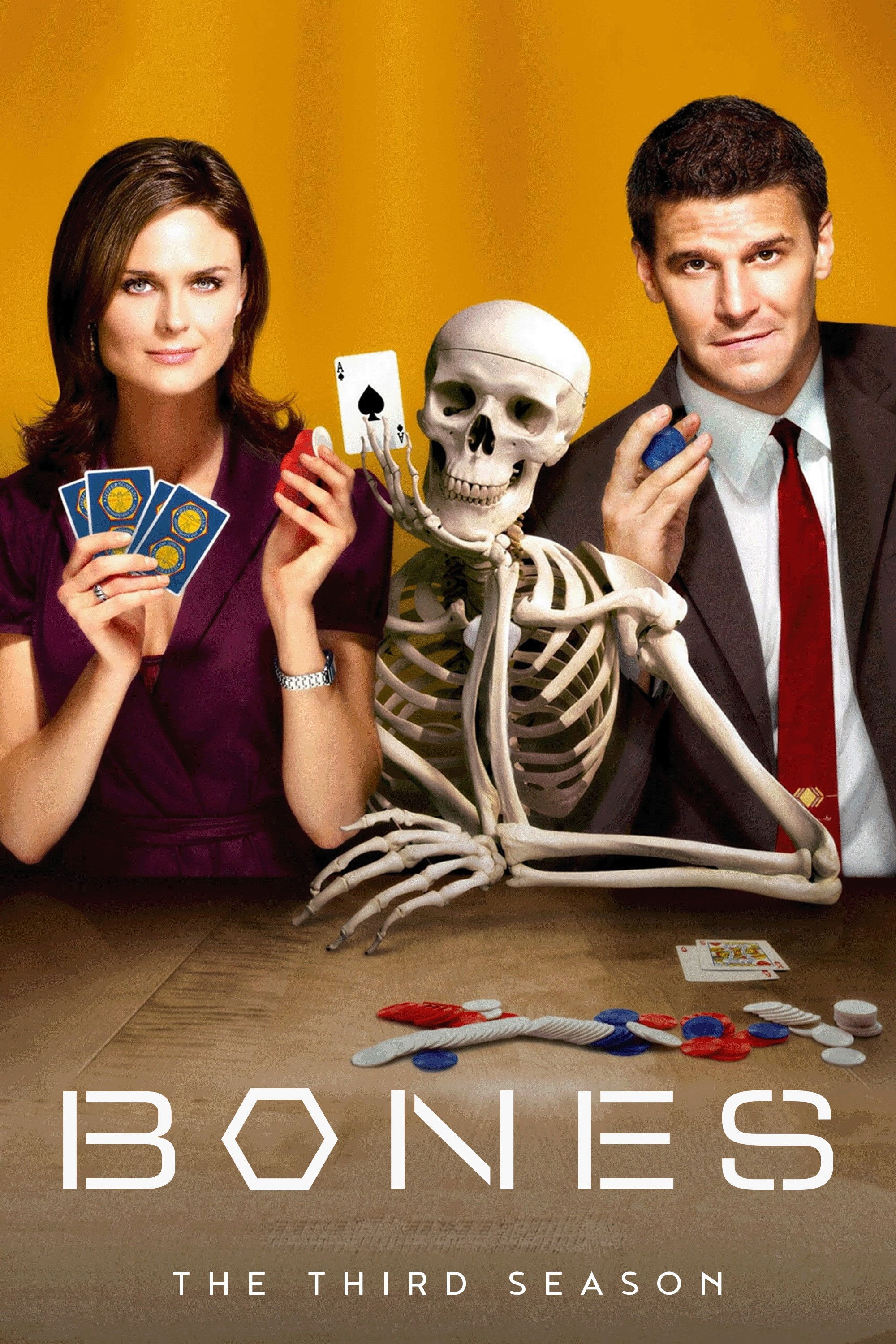 Hài Cốt (Phần 3) - Bones (Season 3) (2007)