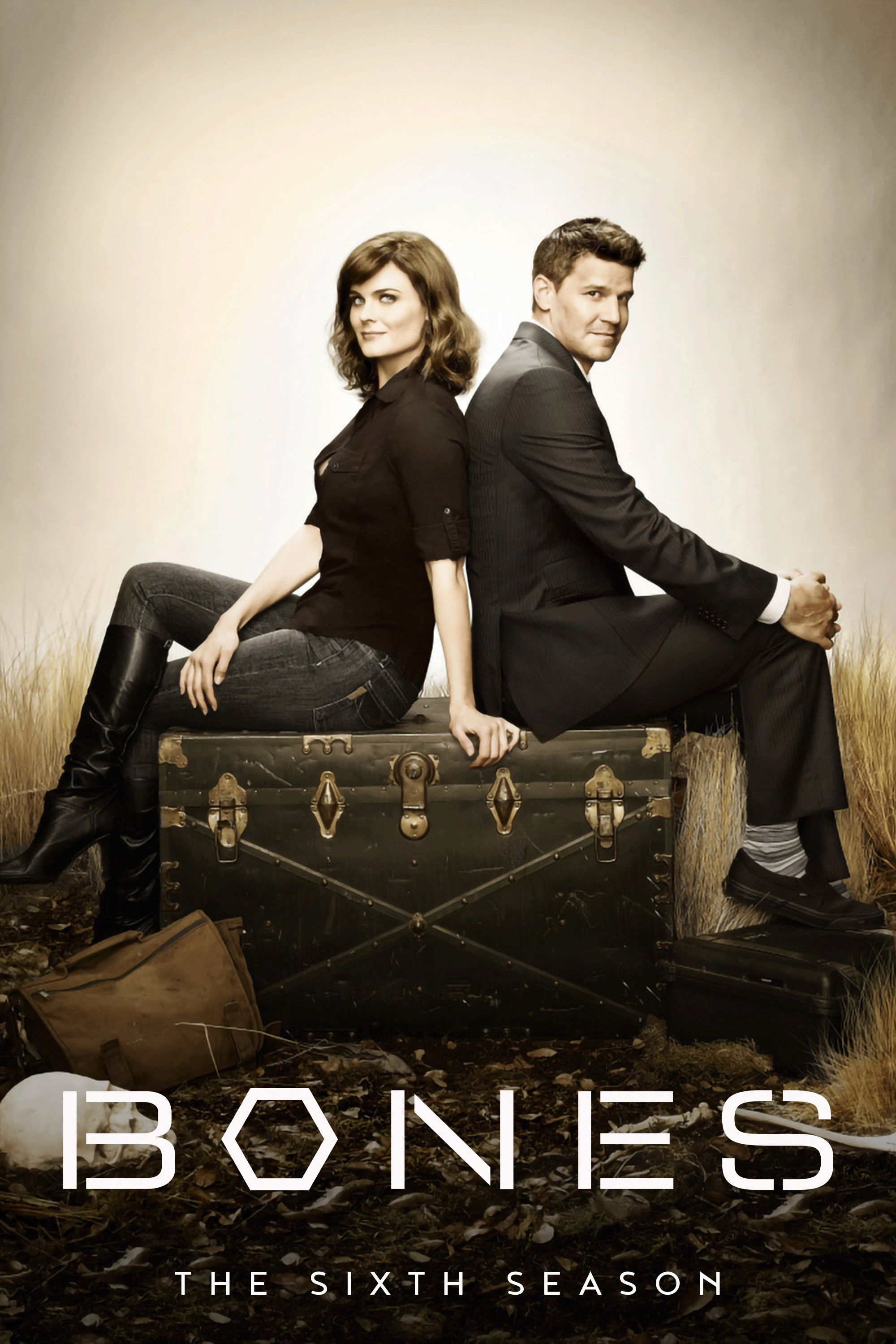 Hài Cốt (Phần 6) - Bones (Season 6) (2010)