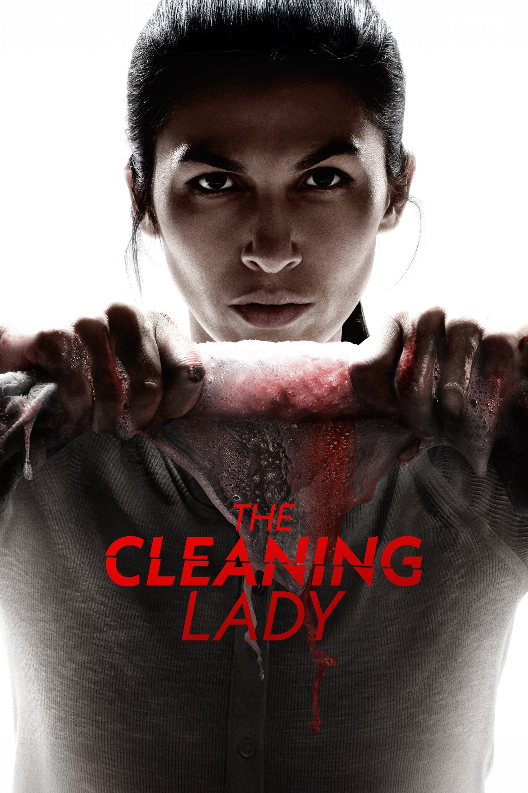 Người Hầu Phòng Bí Ẩn (Phần 4) - The Cleaning Lady (Season 4) (2025)