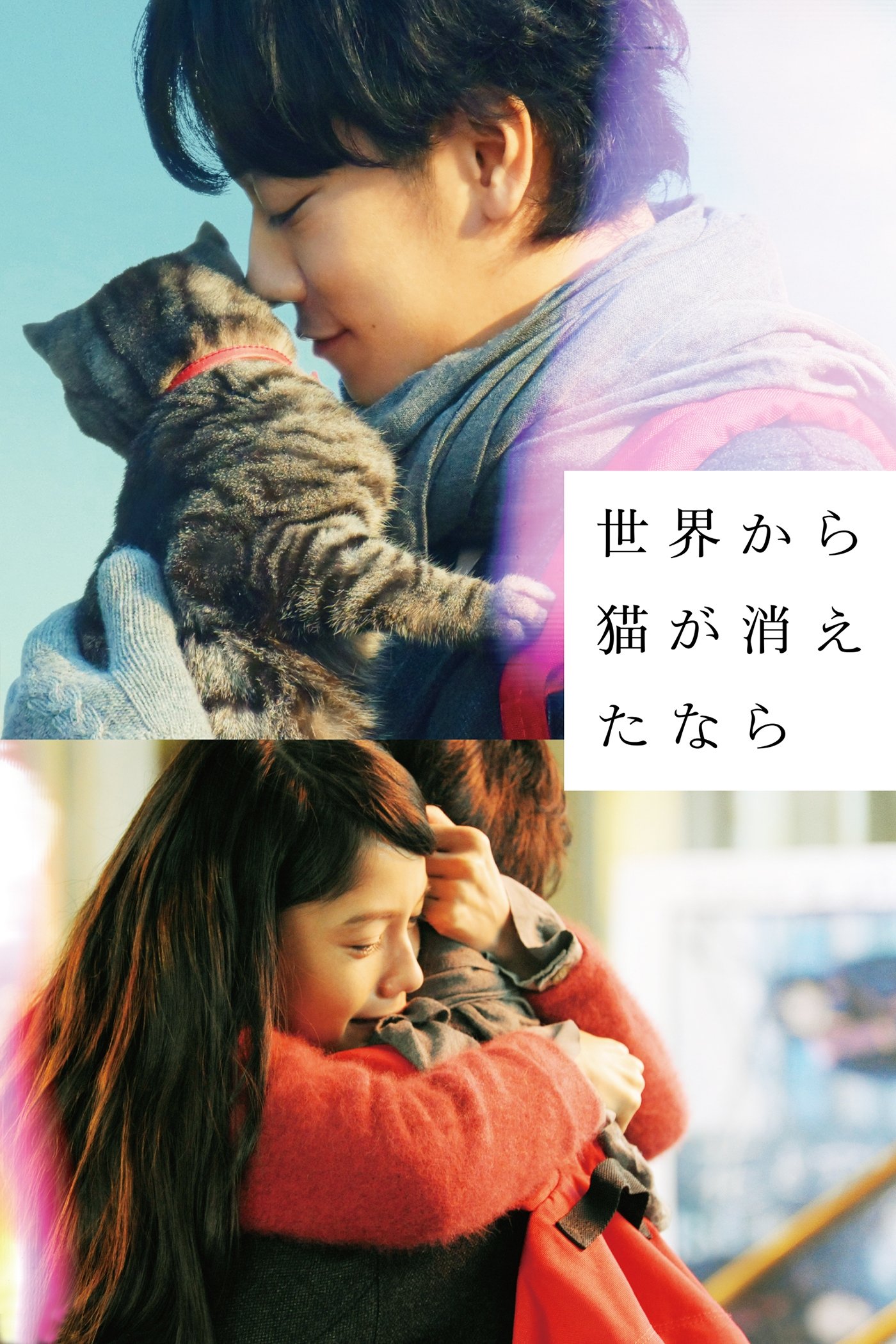 Nếu thế gian này không còn mèo - If Cats Disappeared from the World (2016)