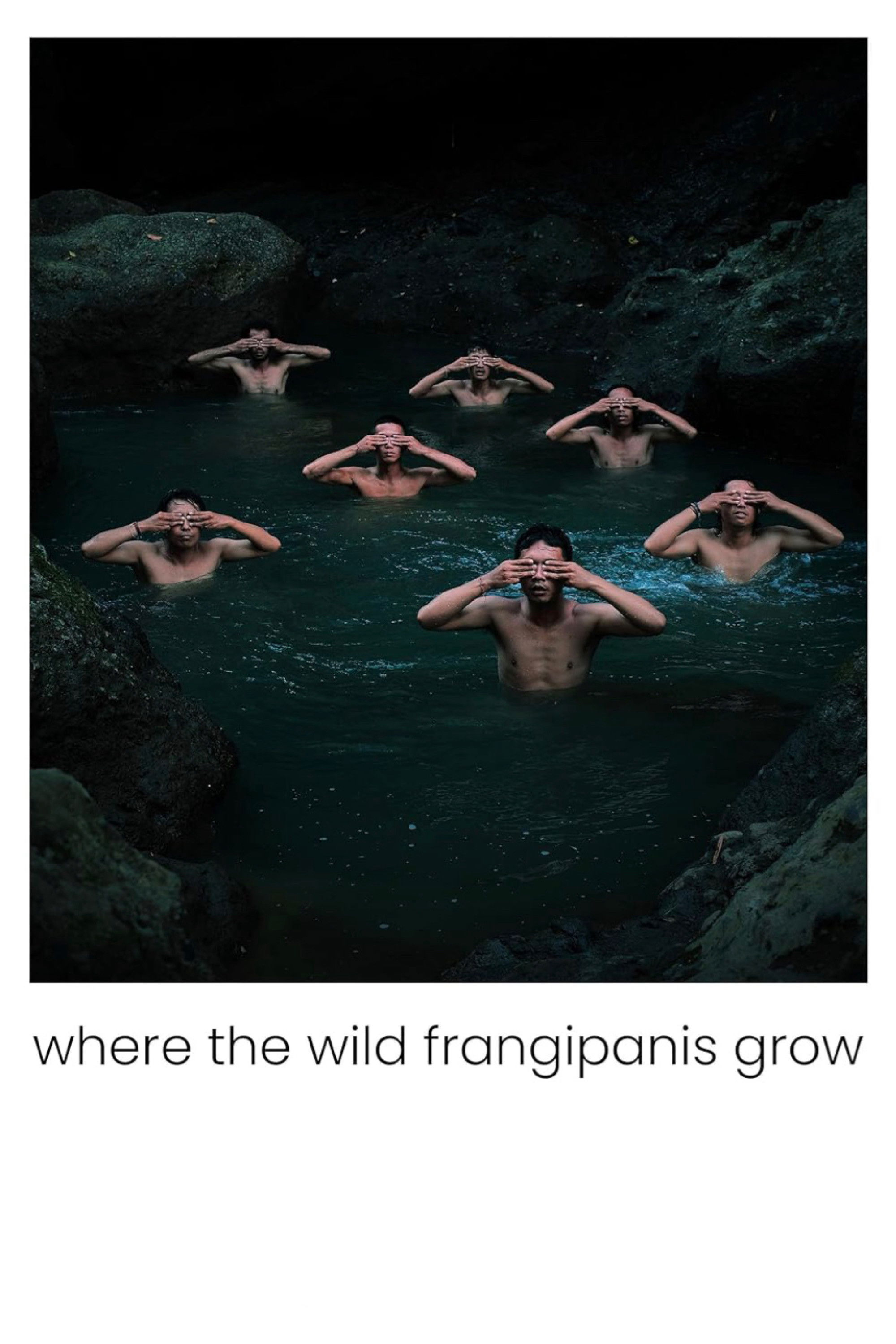 Nơi Hoa Sứ Dại Mọc - Where The Wild Frangipanis Grow (2023)