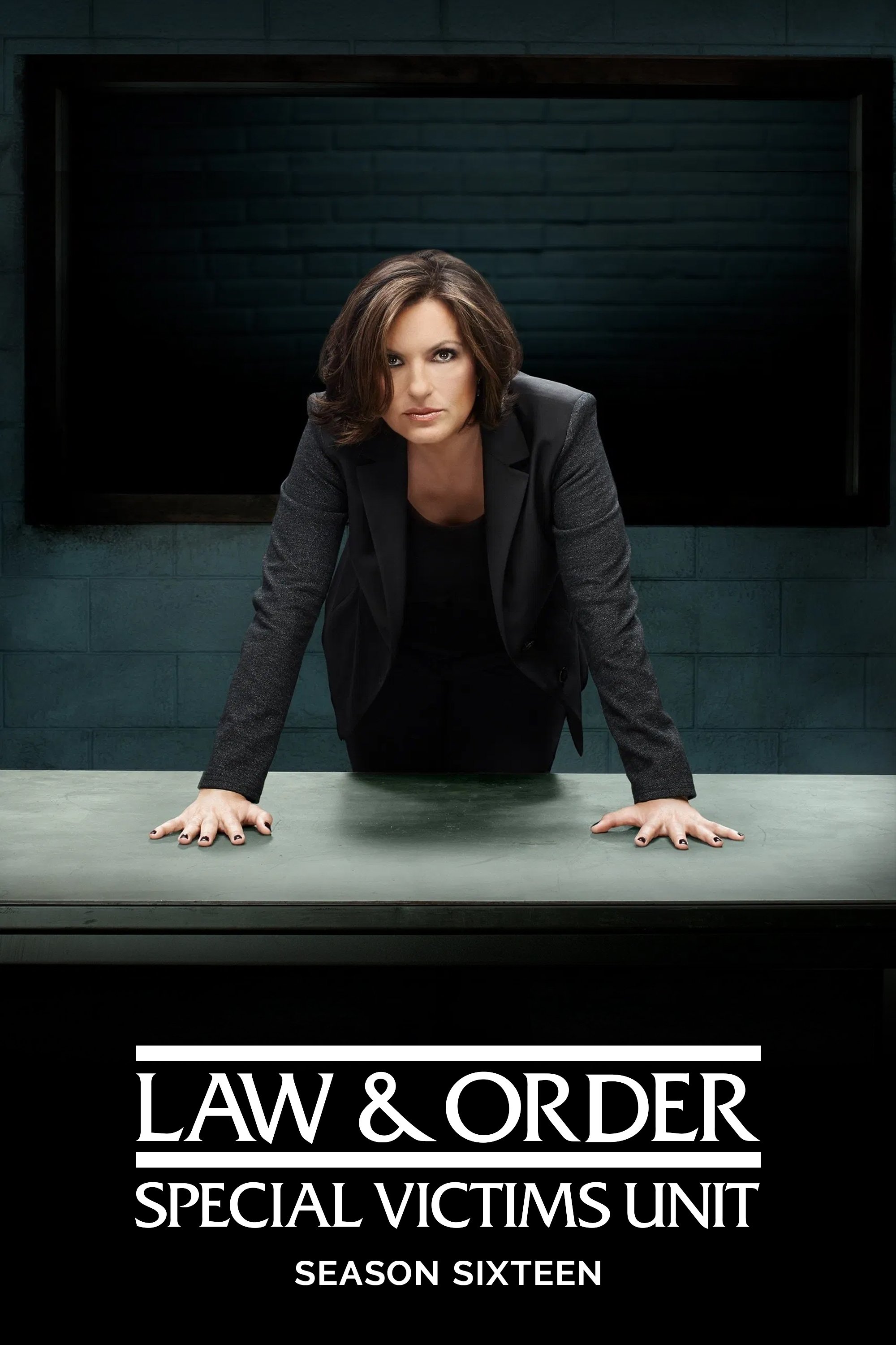 Luật Pháp Và Trật Tự: Nạn Nhân Đặc Biệt (Phần 16) - Law & Order: Special Victims Unit (Season 16) (2014)