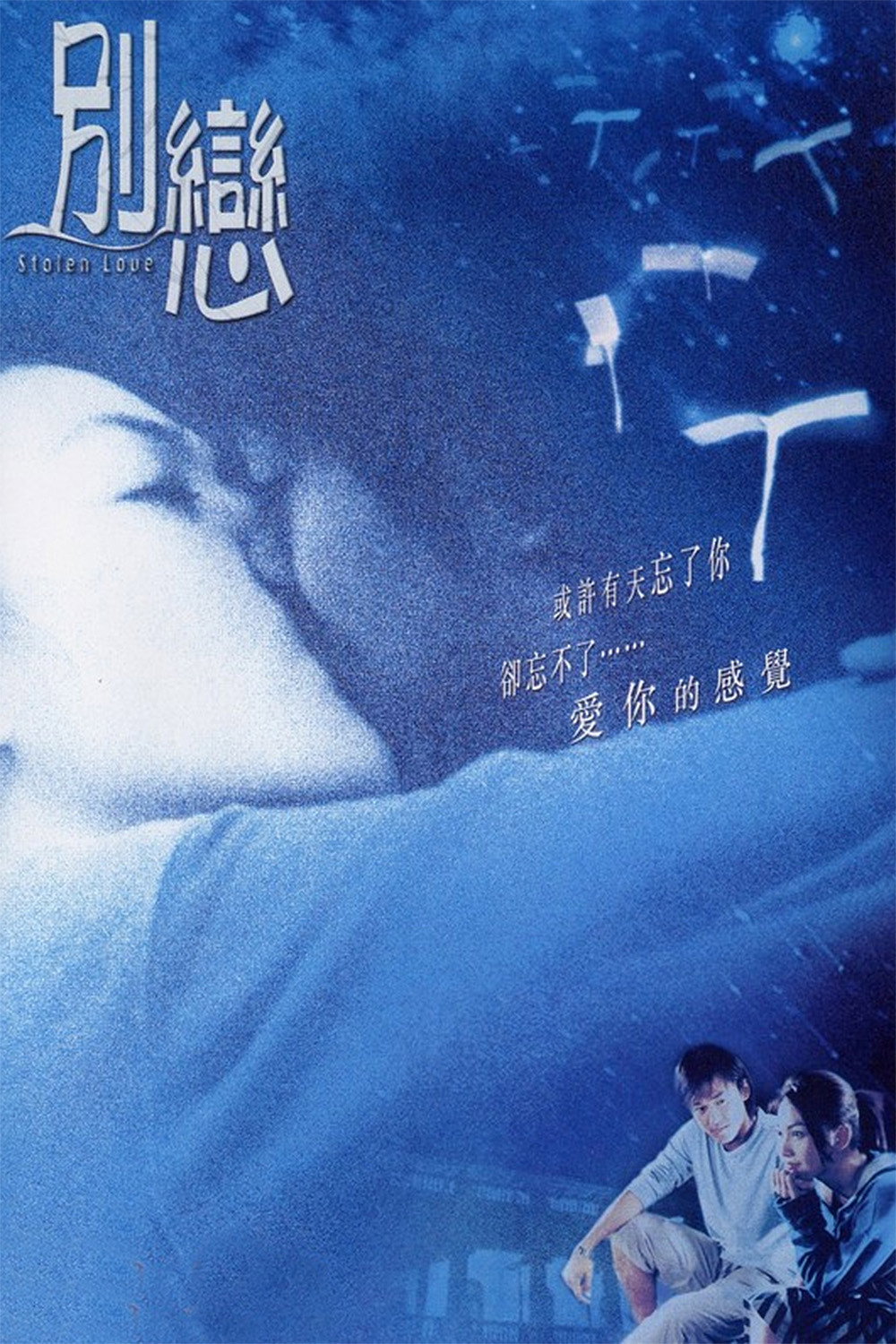 Biệt Luyến - Stolen Love (2001)