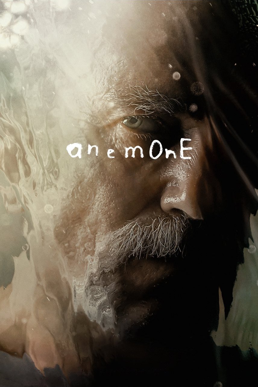 Hải Quỳ Nở Hoa - Anemone (2025)