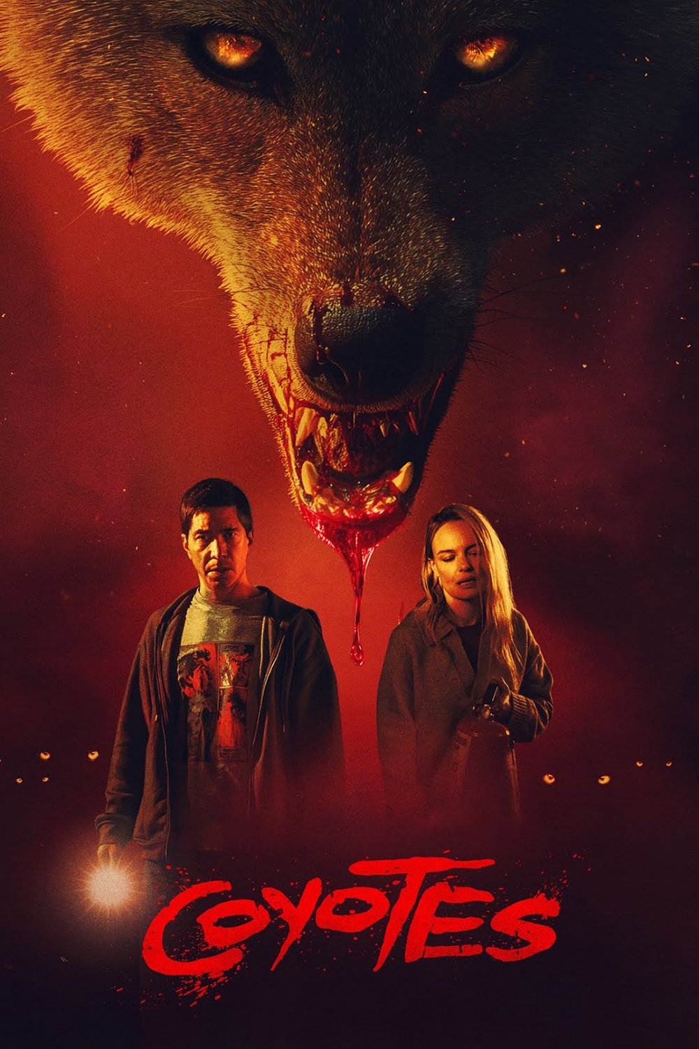 Bầy Sói Hoang - Coyotes (2025)